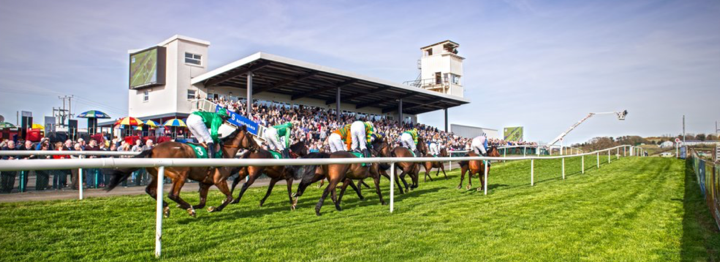 Downpatrick Racecourse | Track Review & Betting Guide